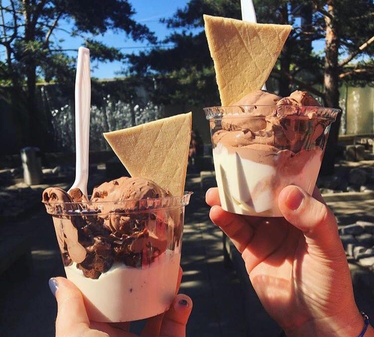 Kopps frozen custard