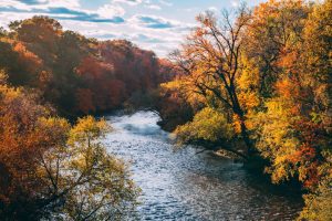 fall