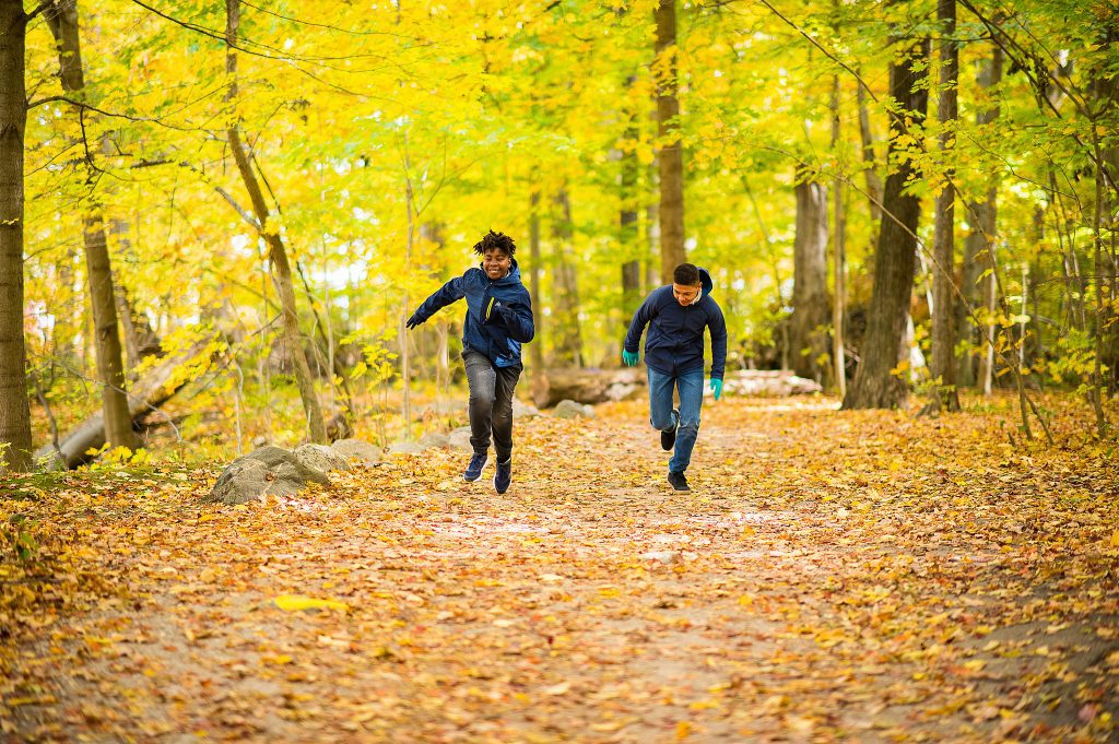 fall