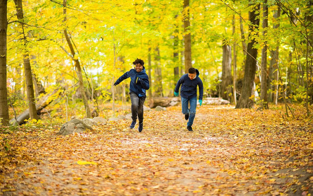 fall