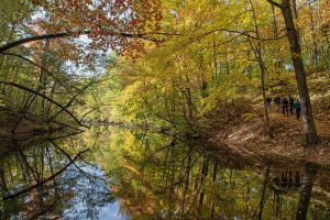 fall