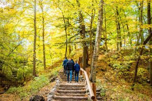 fall